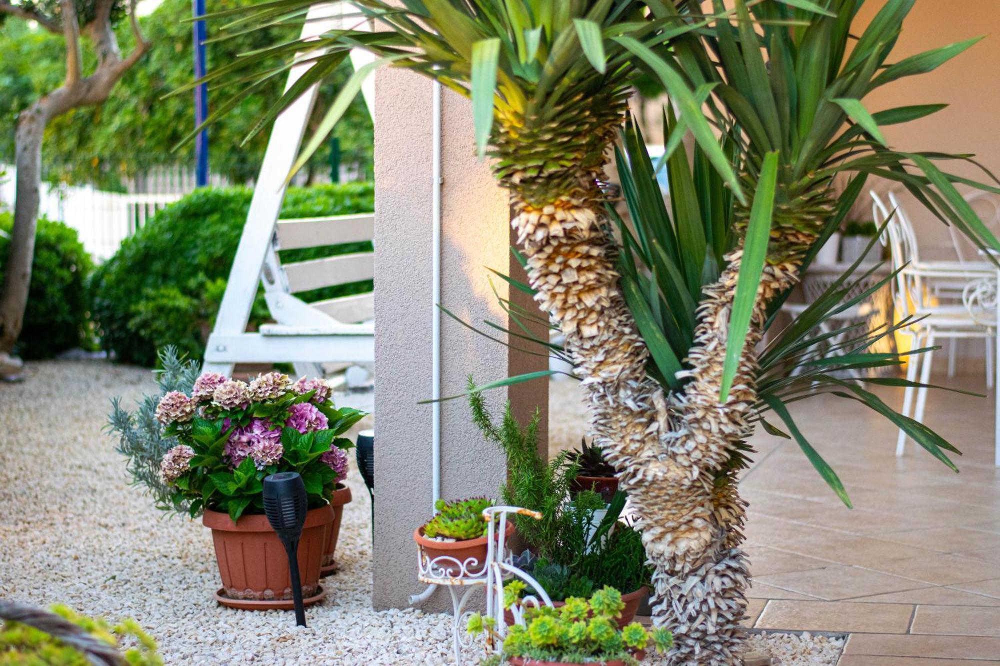 Apartments Anita Frane โวดีเซ ภายนอก รูปภาพ